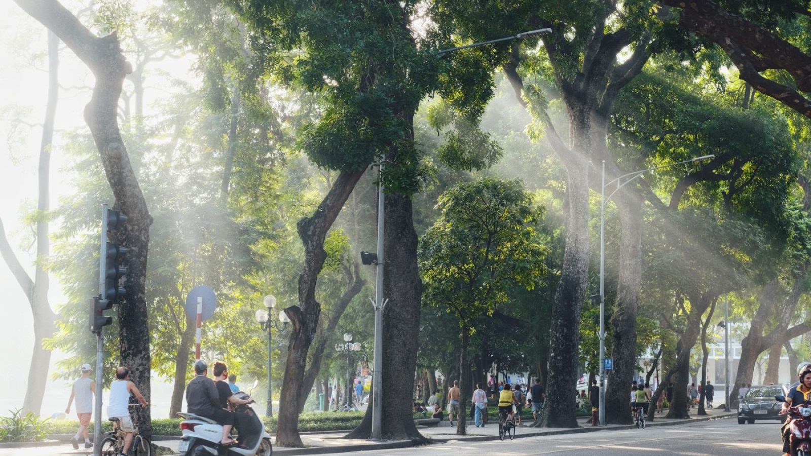 Phố Hà Nội buổi sáng có nắng xuyên qua hàng cây