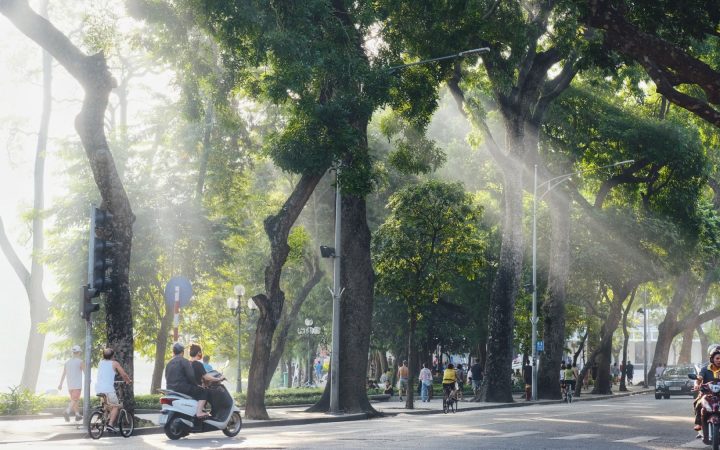 Phố Hà Nội buổi sáng có nắng xuyên qua hàng cây